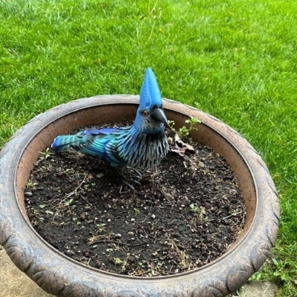 Blue Jay Bird Decor, Beautiful Backyard & Garden Gifts
